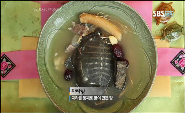 SBS 일요특선다큐 관련 이미지