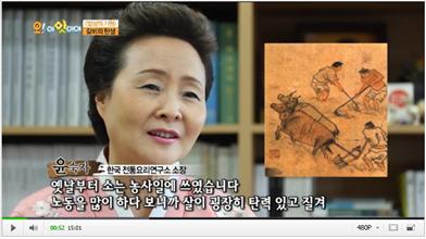 OBS 밥상의 기원 관련 이미지