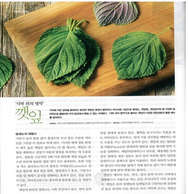 음식과 사람 관련 이미지