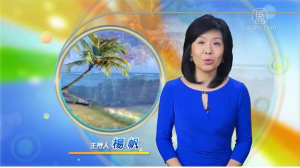 NTDTV 관련 이미지