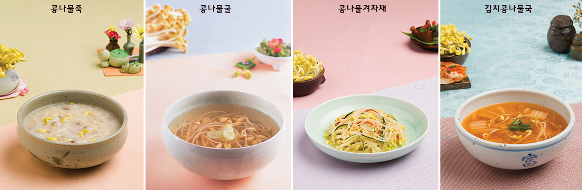 콩나물 관련 이미지