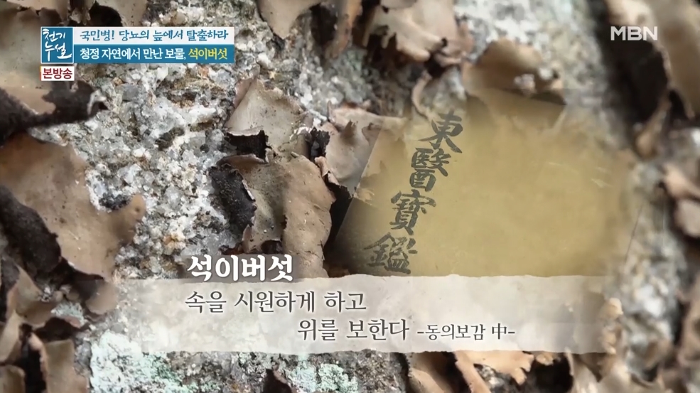 46c3ec93948093fb2936a9a24ef36d2c_1592188686_1369.jpg MBN 천기누설 관련 이미지
