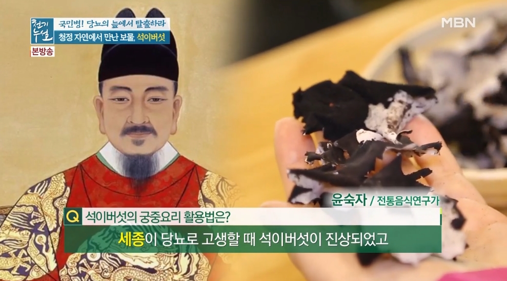 46c3ec93948093fb2936a9a24ef36d2c_1592188686_4344.jpg MBN 천기누설 관련 이미지