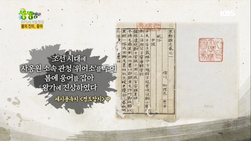 KBS 생생정보 관련 이미지