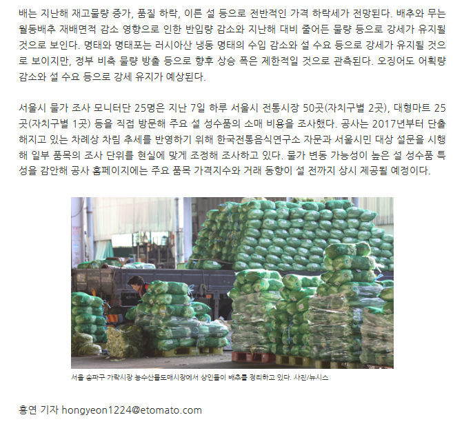 뉴스토마토 관련 이미지