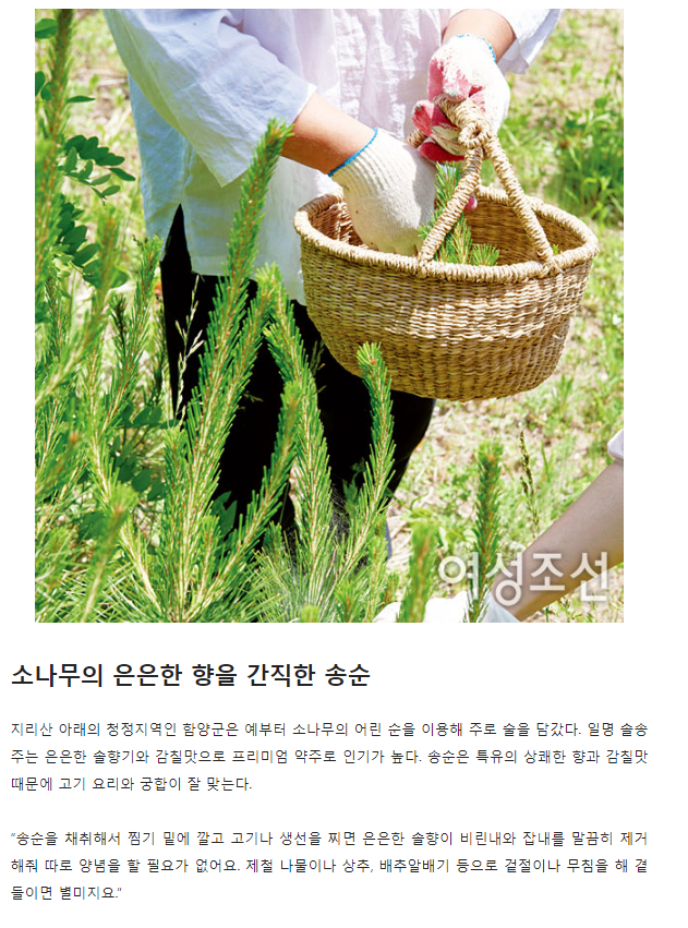 여성조선 관련 이미지