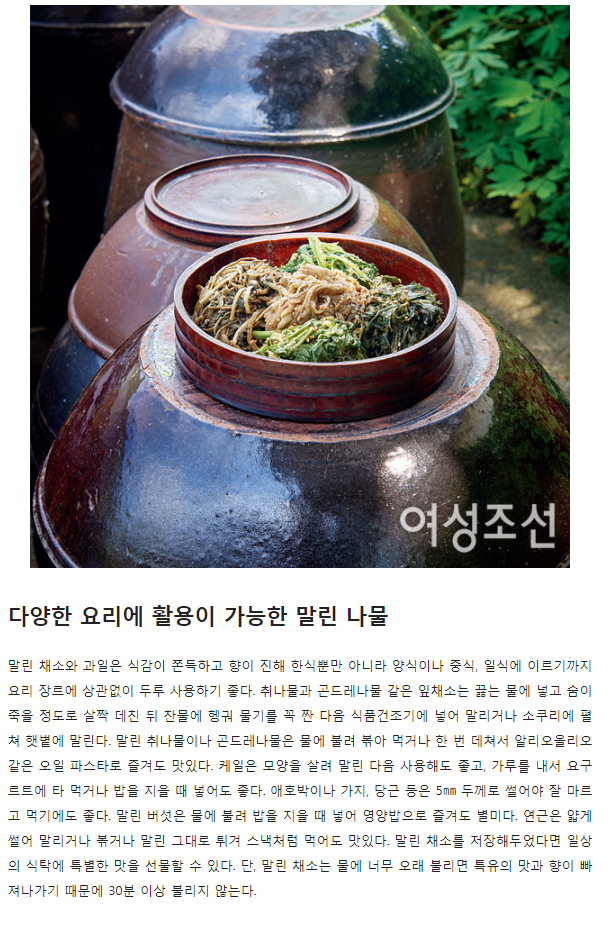 여성조선 관련 이미지