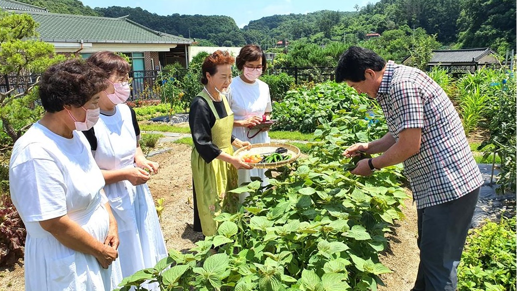 8150bb0f85efef0afe39202f5a0c5c2c_1627280229_997.jpg 드디어 개성食문화연구원에 첫 소출을 거두다 관련 이미지
