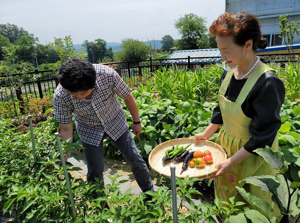 8150bb0f85efef0afe39202f5a0c5c2c_1627280838_5571.jpg 드디어 개성食문화연구원에 첫 소출을 거두다 관련 이미지