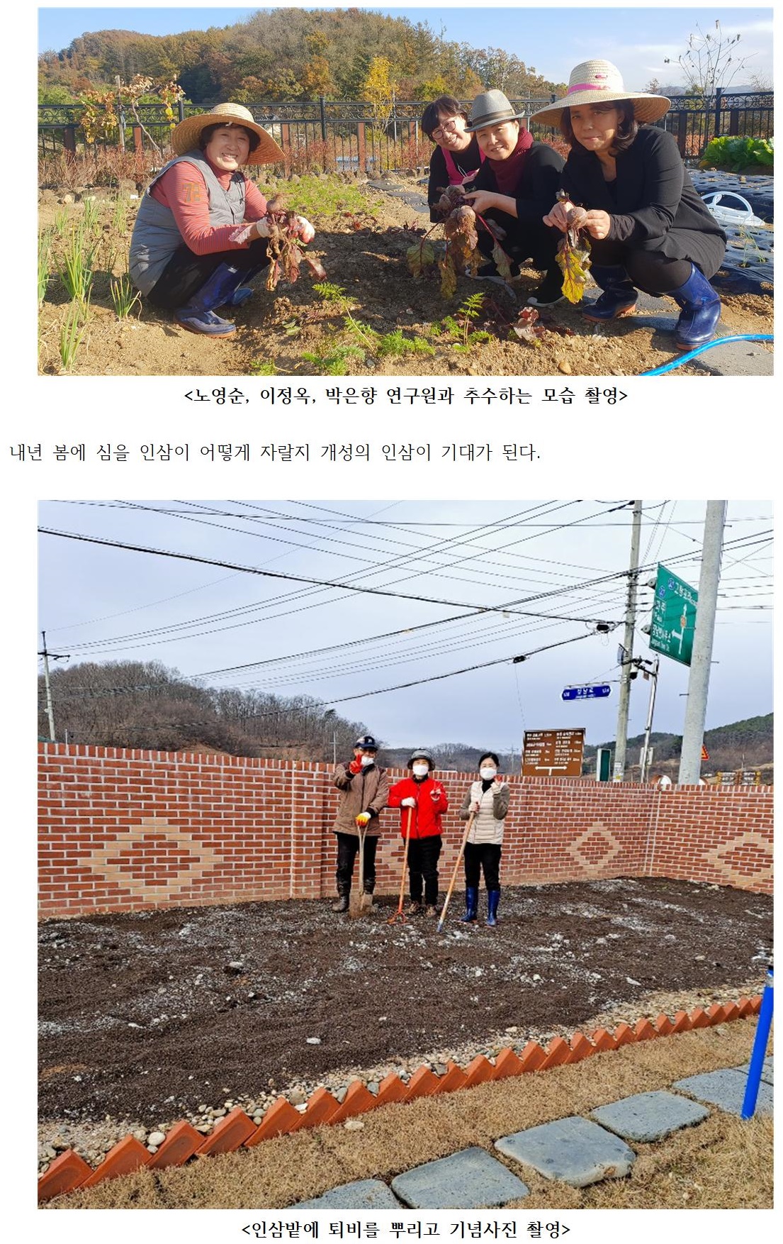 8150bb0f85efef0afe39202f5a0c5c2c_1627281311_0498.jpg 드디어 개성食문화연구원에 첫 소출을 거두다 관련 이미지