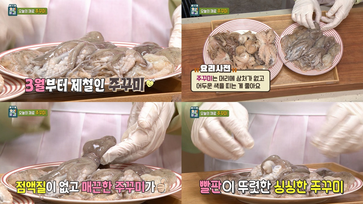 EBS 최고의 요리비결 관련 이미지