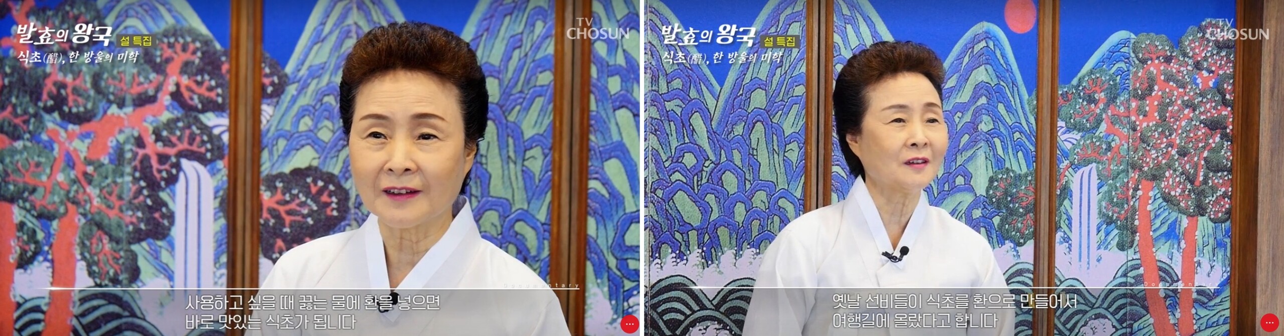 TV조선 ‘발효의 왕국’ 관련 이미지