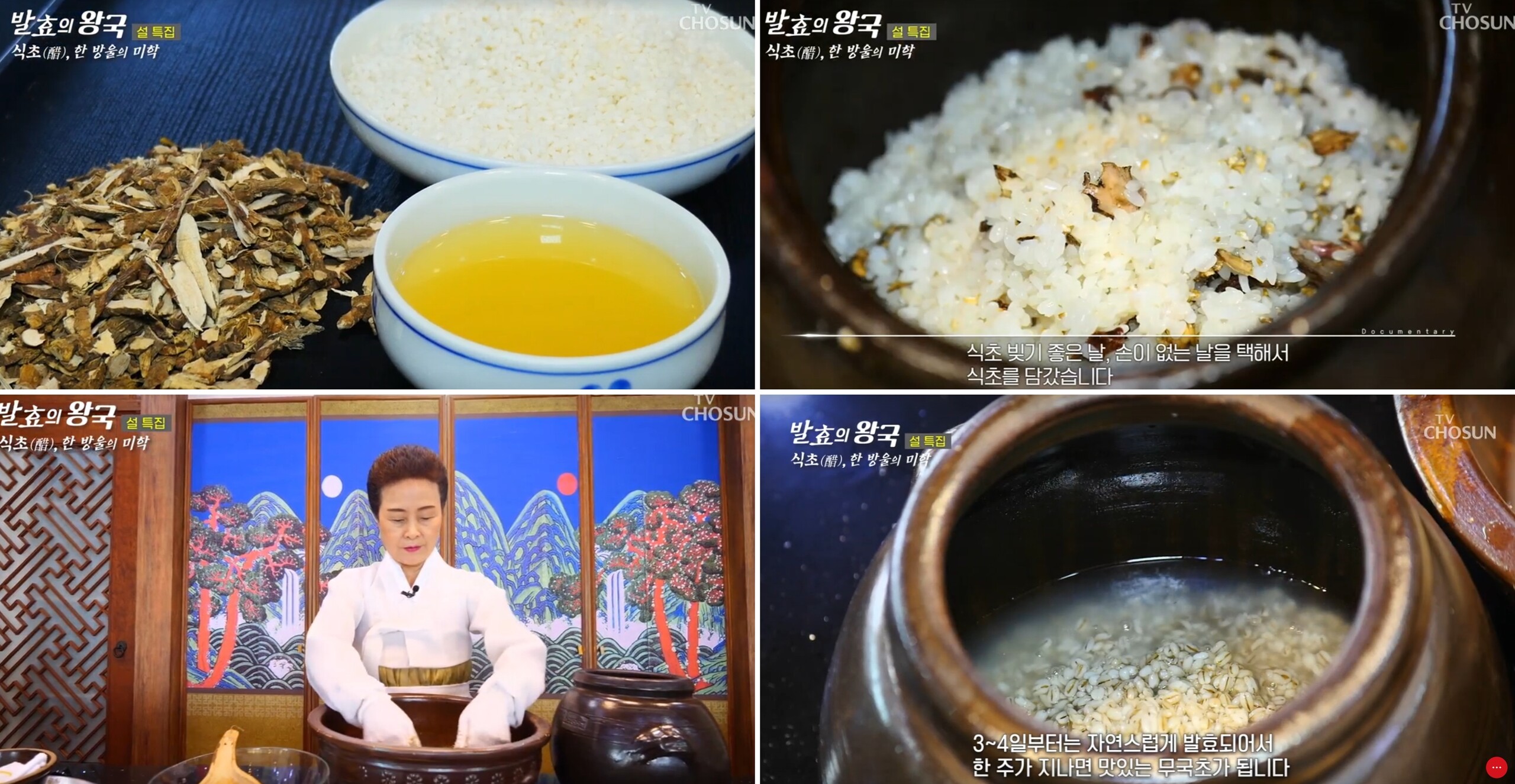 TV조선 ‘발효의 왕국’ 관련 이미지