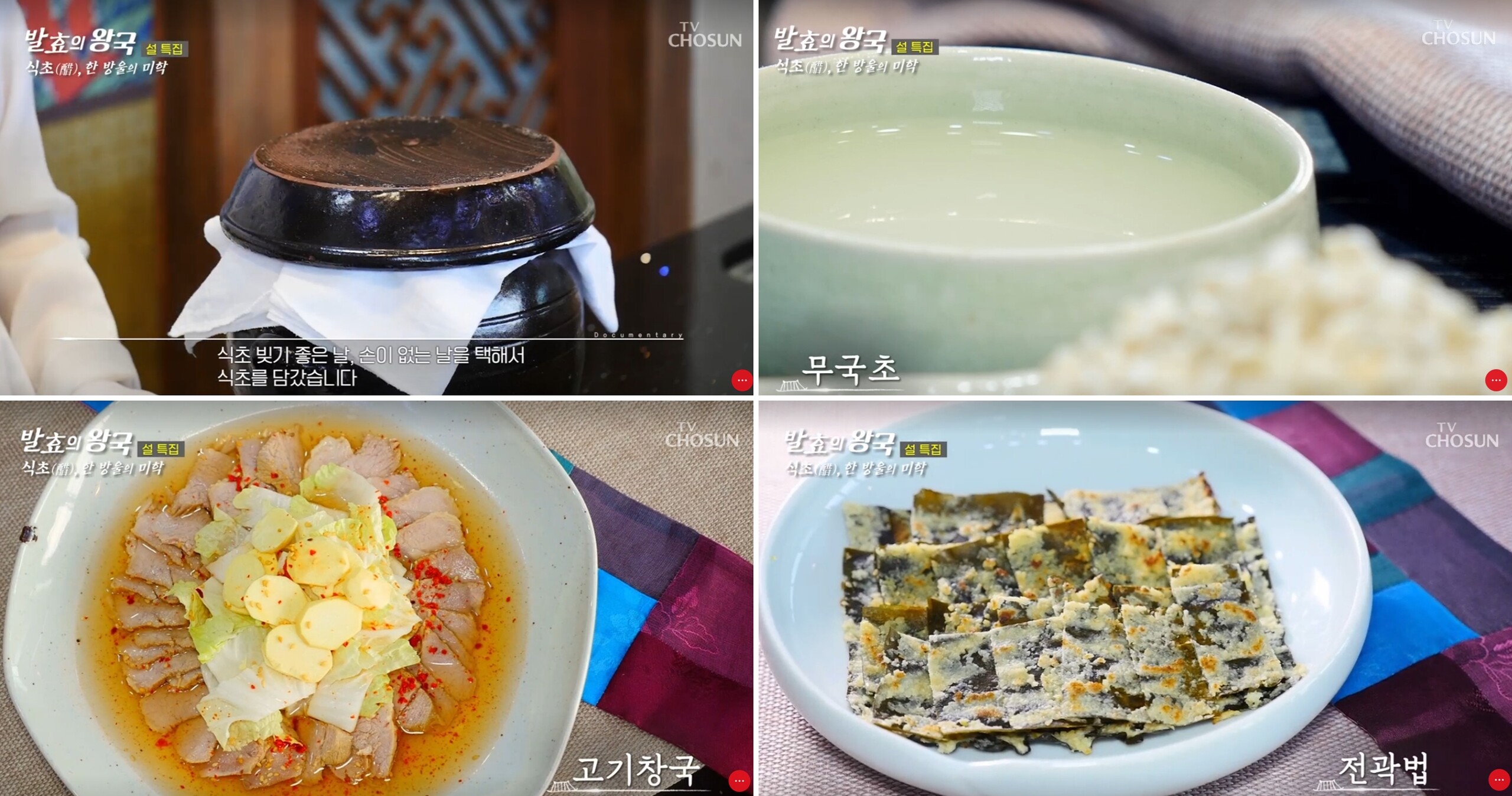 TV조선 ‘발효의 왕국’ 관련 이미지