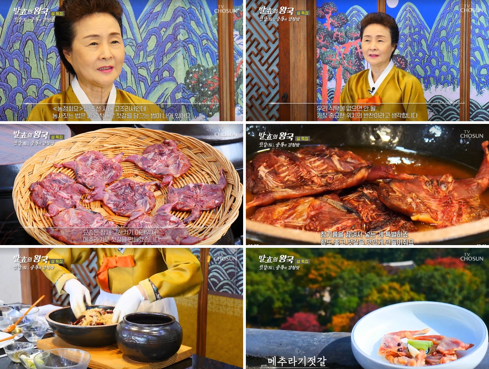 TV조선 ‘발효의 왕국’ 관련 이미지