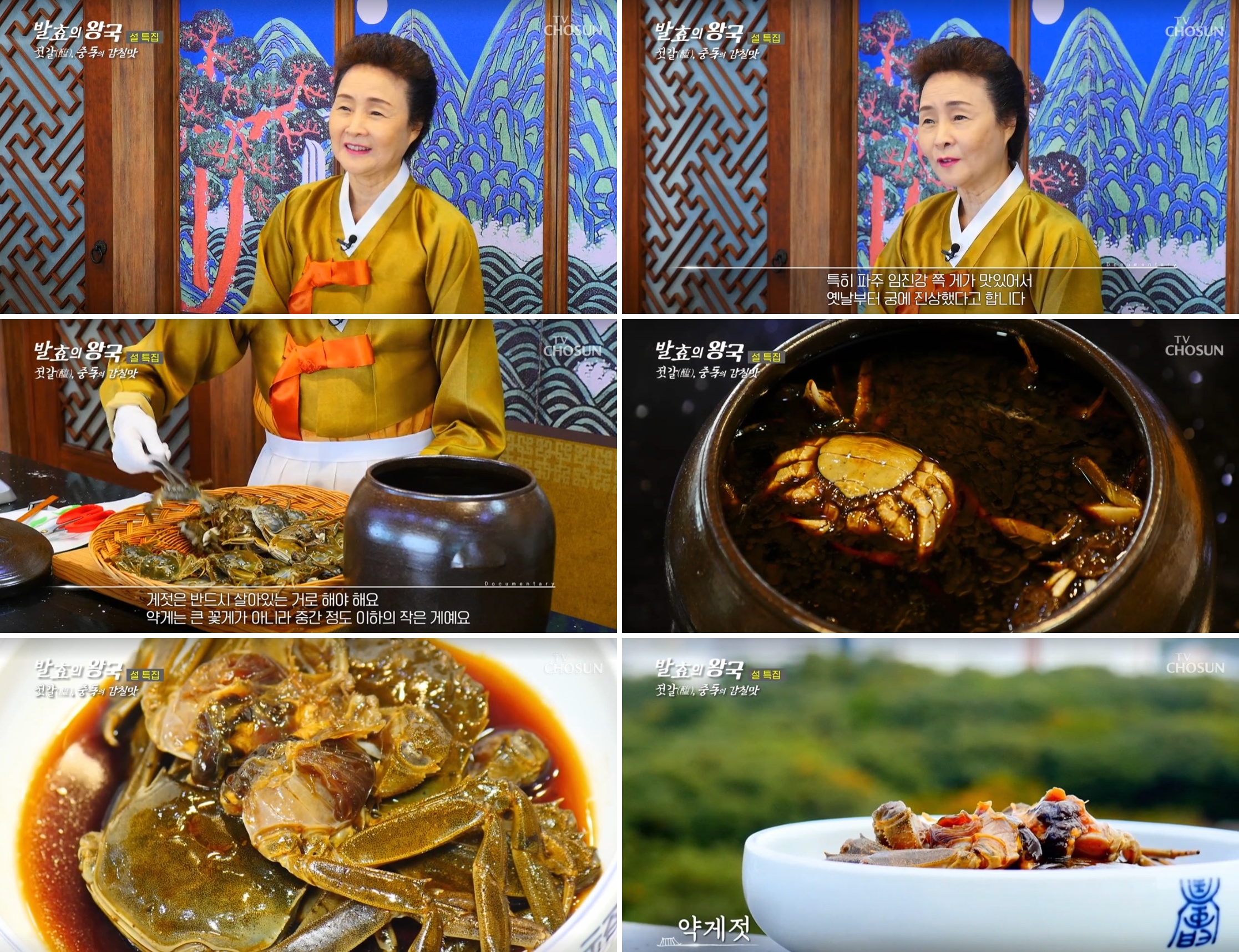 TV조선 ‘발효의 왕국’ 관련 이미지