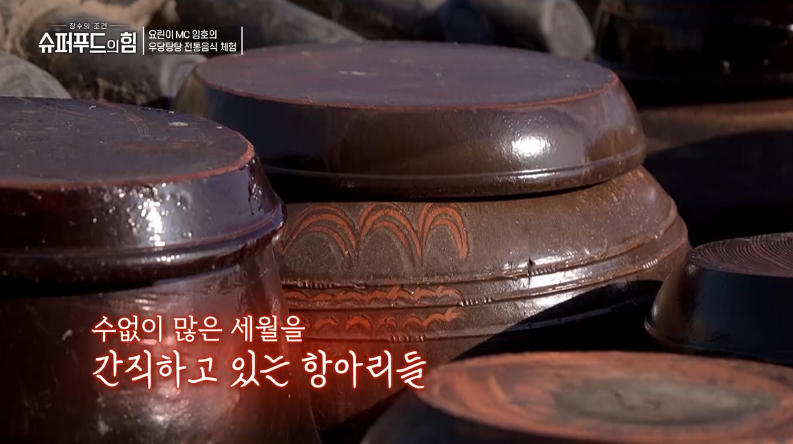 tvN [슈퍼푸드의 힘] –  요린이 MC 임호의 우당탕탕 전통음식 체험 관련 이미지