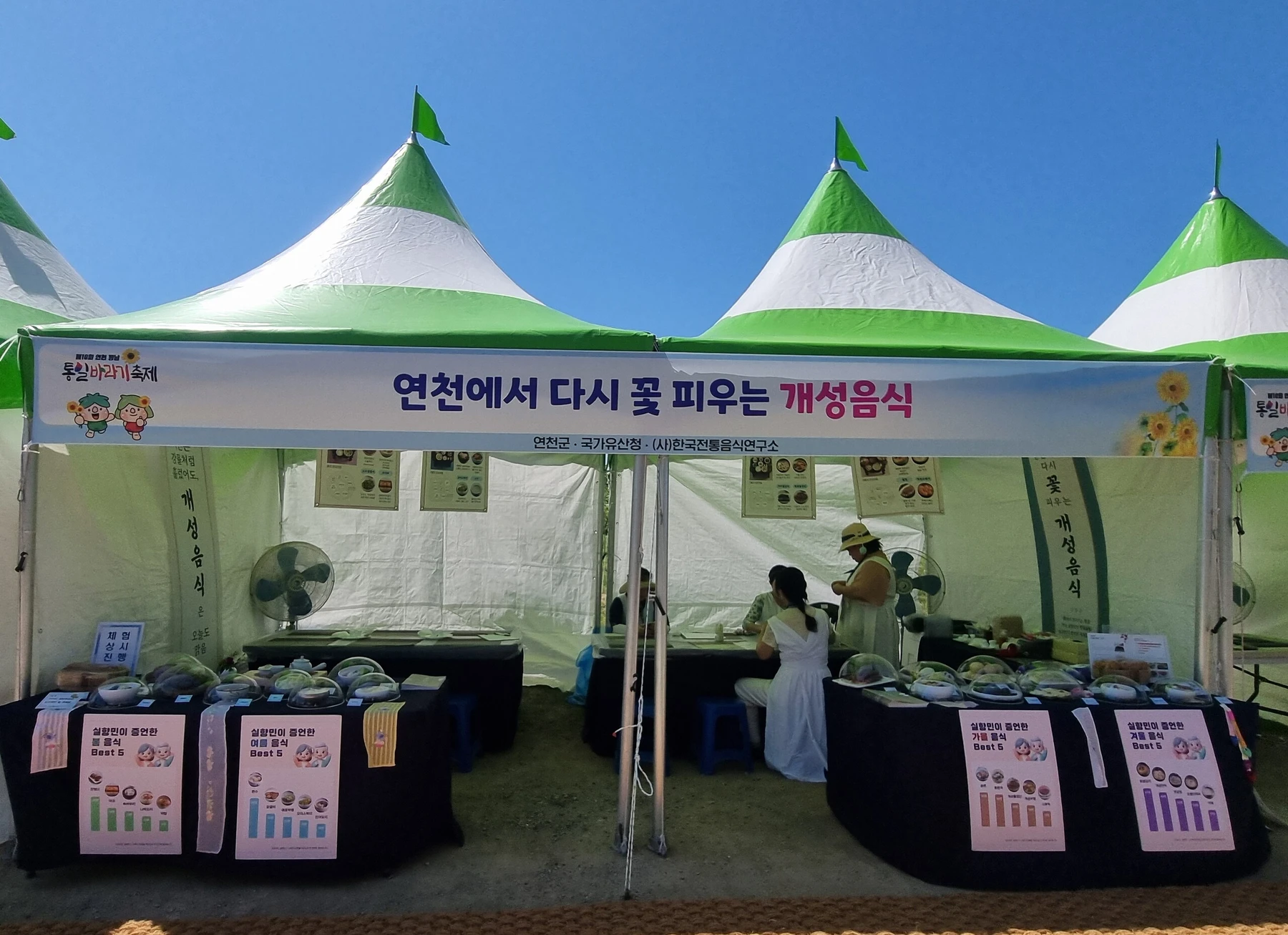 [행사] 제10회 연천 장남 통일바라기축제