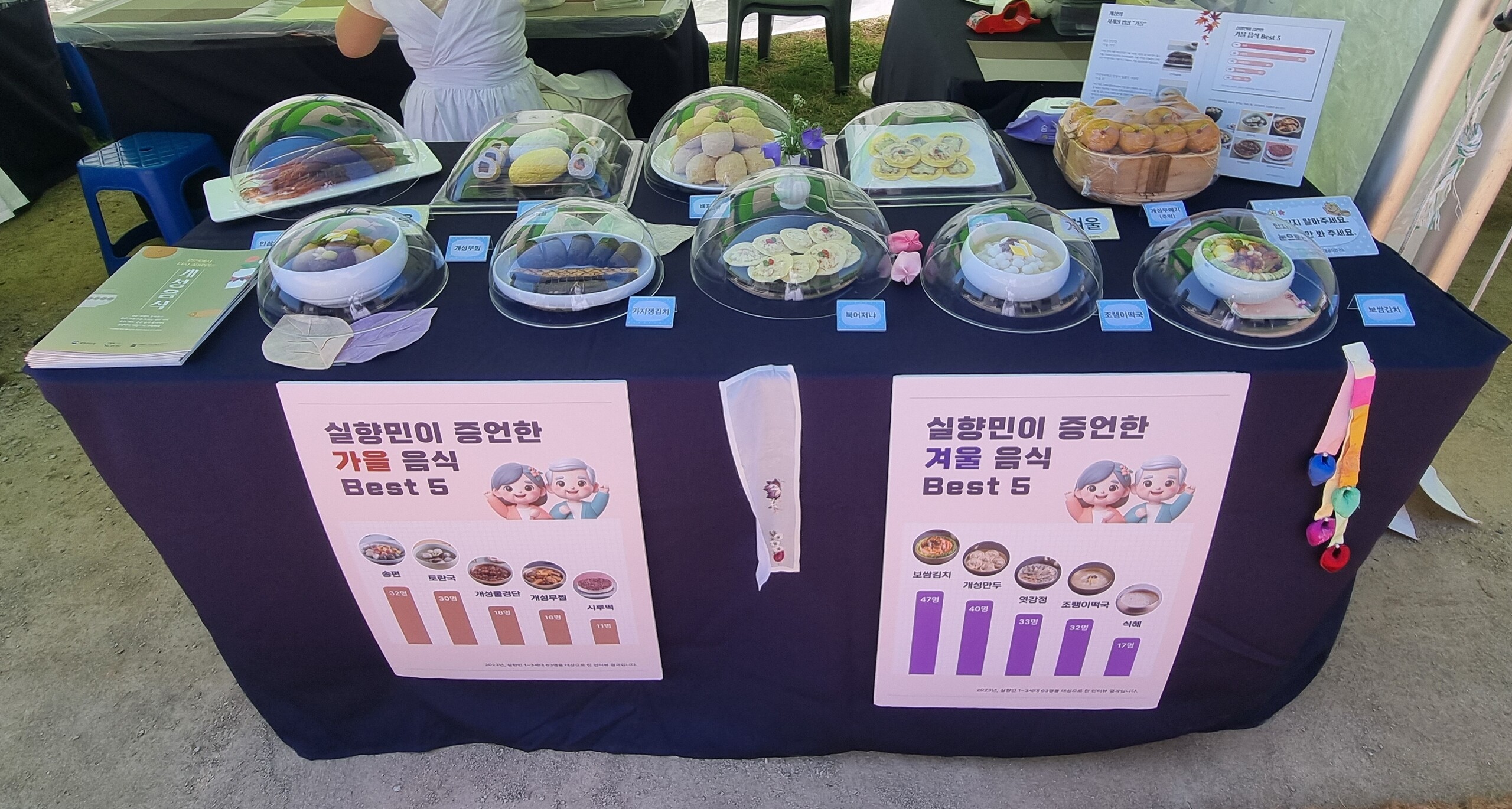 [행사] 제10회 연천 장남 통일바라기축제 관련 이미지
